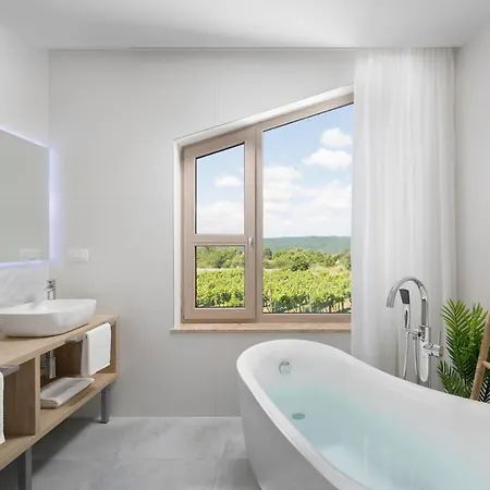 Villa D Labin (Istria)